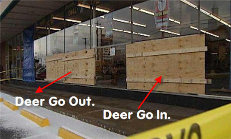 3 Deer Attack Pittsburgh-Area Furniture Store