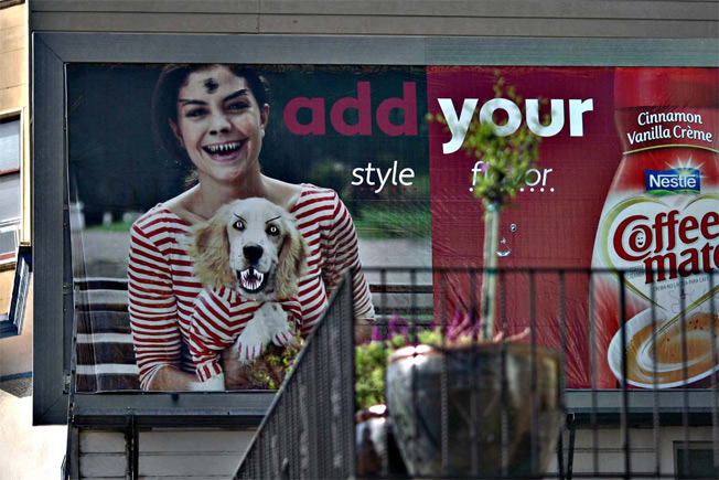 Demon Dogs Enjoy Coffee Mate, Owners Too