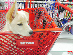 seresto petco coupon