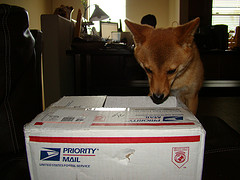 USPS Delivers Christmas Gift 371 Days Late