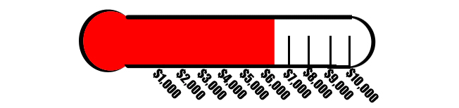 Consumerists Raise $6,318.17