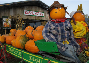 More People Are Getting Their Food Straight From Farms