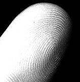 Microsoft Fingerprint Reader Does Passwords, Not Security