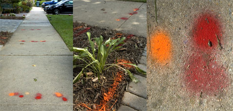 Verizon Keep Spraying Our Sidewalks With The Same, Three, Permanent, Dots