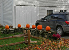 How To Protect Your Car From Halloween Tricks