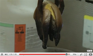 What Happens To A Cheeseburger In Hydrochloric Acid?