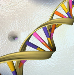 FDA Investigating Walgreens Genetic-Testing Kits