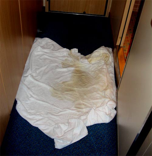 Sir, That's Not Fecal Water Flooding Your Cruise Ship Stateroom, That's Brown Glue