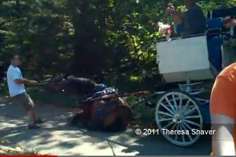 Woman & Carriage Driver Disagree About Horse's Ability
To Pull Carriage