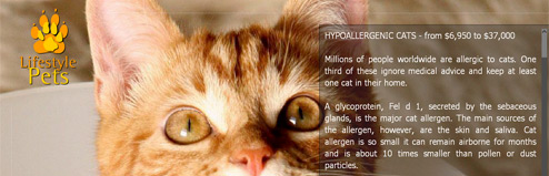 New Jersey Man Sues Allerca For Non-Delivery Of Amazing Hypoallergenic Cat