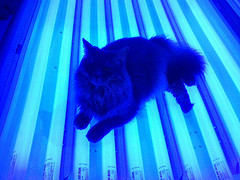 California Bans Minors From Getting A Glow On In A Tanning Bed