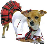 Now Available For Halloween: "Sexy" Costumes For Dogs