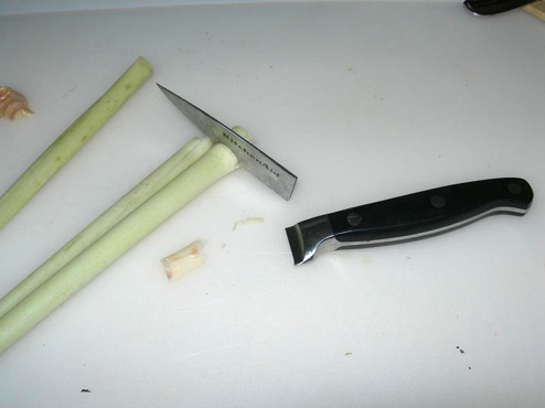 KitchenAid Knives Are No Match For Lemon Grass