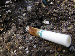 FDA Panel Recommends Ban On Menthol Cigarettes