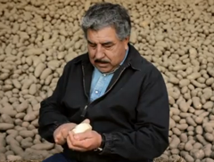 McDonald's Wants To Be Sure You Know They Use Actual Potatoes In French Fries