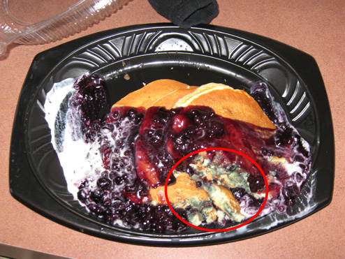 IHOP Serves You Nasty-Tasting Blueberry Pancakes