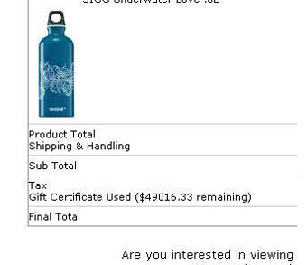 SIGG Responds: Yes, The $50,000 Gift Certificate Was Intentional
