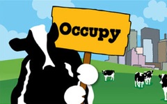 Ben & Jerry's Deliciously Supports Those Occupying Wall Street