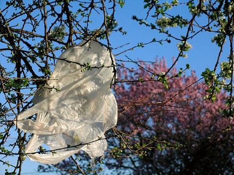 Borders Forces Customer To Take Plastic Bag, Claims It Is "Proof Of Purchase"