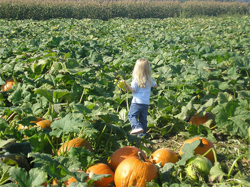 How To: Carve A Pumpkin Without Butchering Yourself