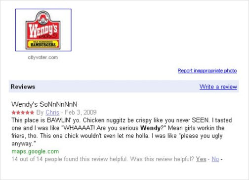 Possibly The Best Review Of Wendy's, Or Anything, Ever