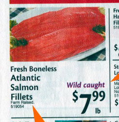 These Salmon Are A Swimming Oxymoron