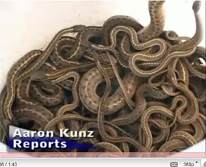 Realtor Slices Price On Snake Infested Home