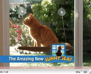 Sunny Seat Is A Suction Cup Cat Seat That Sticks To Windows
