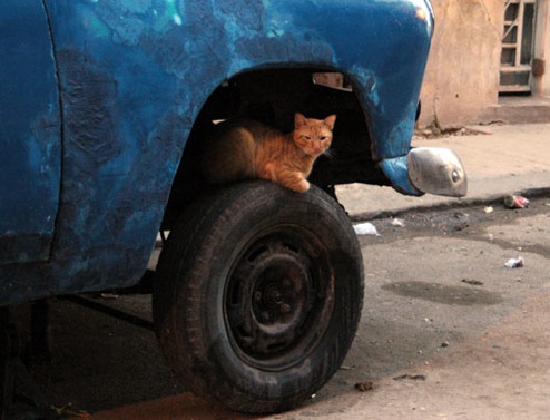 Your New Tires Could Be Six-Year-Old Death Traps