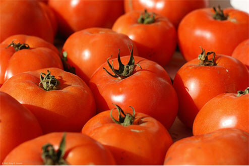 Salmonella Outbreak: Which Tomatoes Are Safe?