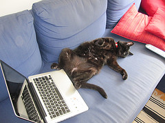 Brits Try That Working From Home Thing Before Olympic Crowds Converge