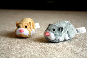 Toys R Us Advertises Zhu Zhu Pet Sale, Forgets To Stock Zhu Zhu Pets