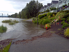 It’s Not In Banks’ Best Interest To Look Too Closely At New Flood Plain Maps