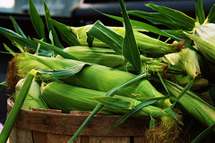 Walmart And Monsanto Team Up To Sell Genetically Modified Sweet Corn