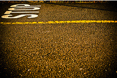 Road Crew Swears It Couldn't Help Painting Yellow Line Over That Dead Raccoon