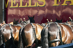 Old Wells Fargo Contract Allows Bank To Basically Do Whatever It Wants At Any Time