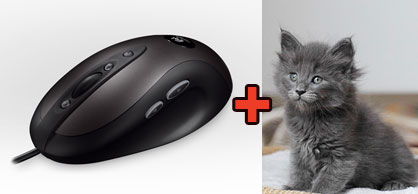 My Cats Ruin My Mouse, Logitech Sends A Free Replacement