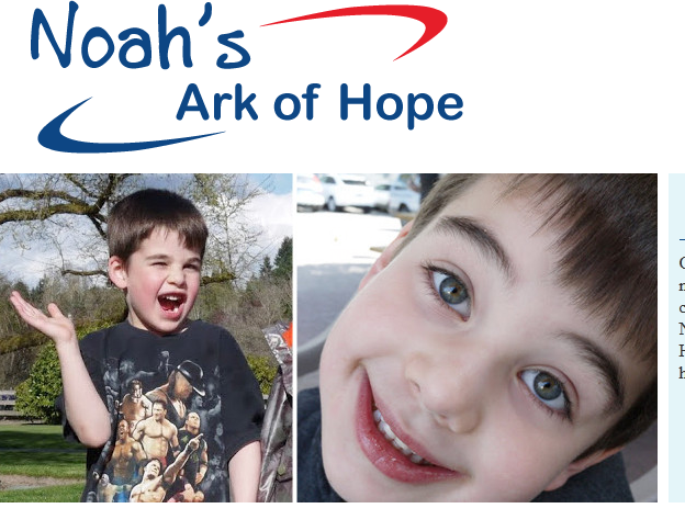 This is a grab of NoahPozner.org, the REAL site set up by the victim's family.