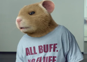 Kia's Viral Commercials Are All About The Hamsters, Not So Much The Cars –  Consumerist