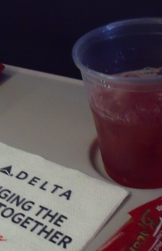 Flight Attendant Blows .258 On Breathalyzer, Pleads Not Guilty To Working While Drunk