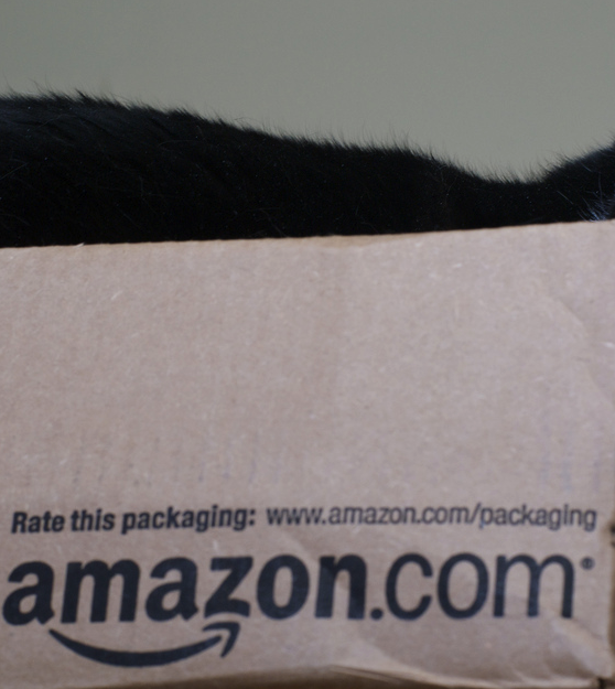 Is Amazon Prime Price Hike In UK A Sign Of Things To Come?