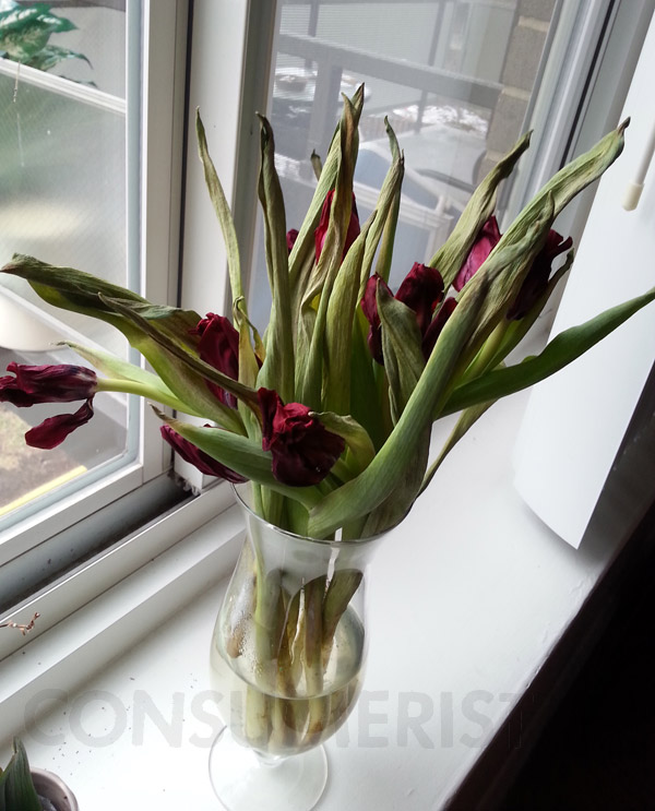 This FTD Flower Arrangement Says, “My Love For You Is Gnarled And Dessicated”