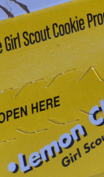 Girl Scout Provides One-Stop Shopping By Selling Cookies Outside Medical Marijuana Clinic