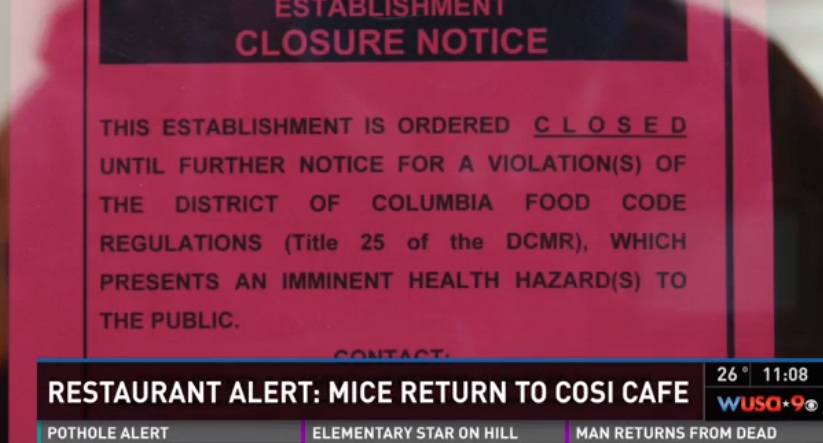 Così Franchisee Bets TV Reporter $10,000 Restaurant Will Stay Mouse-Free