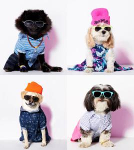 You can dress like your dog. Or is your dog dressing like you?