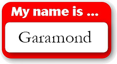 Teen says Garamond could save money over Times New Roman.