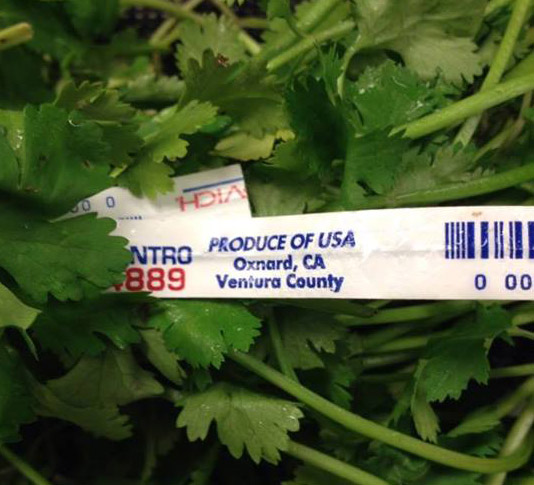 Cilantro Is Not Local To Ohio When Grown In California