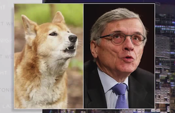 FCC Chair Tom Wheeler Says He Is Not A Dingo