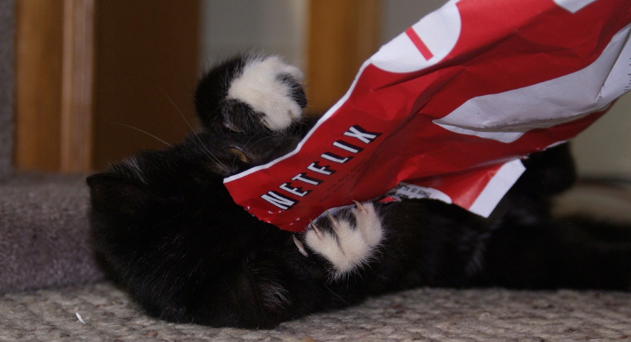 Netflix Won’t Offer Downloadable Content Anytime Soon Because Users Just Couldn’t Handle It