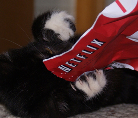 Netflix Customers Waiting A Very Long Time For Baffling Array Of DVDs